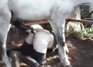 Brutal